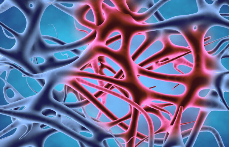 Read more about the article All about Inflammation