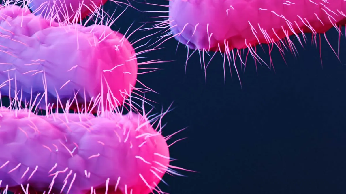 Read more about the article How Antimicrobial Resistance is Shaping the Future of Healthcare