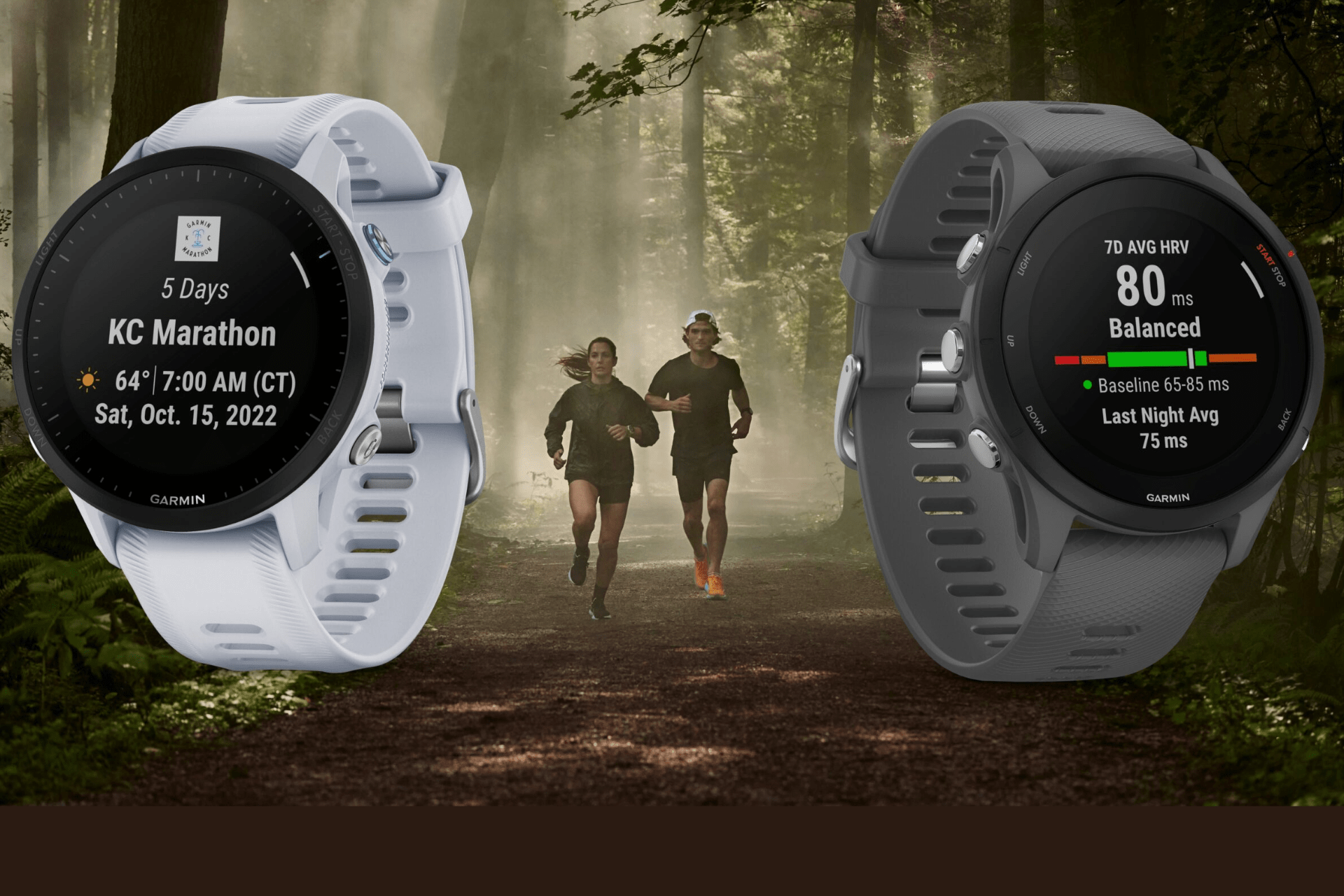 Read more about the article Are There Any Complete Free Fitness Apps?